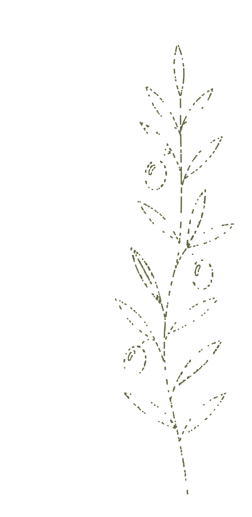 Zeytin Dalı Dolgulu